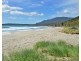 51 Mason Point Road, Eaglehawk Neck TAS 7179