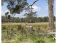 18 Sloping Main Drive, Sloping Main TAS 7186
