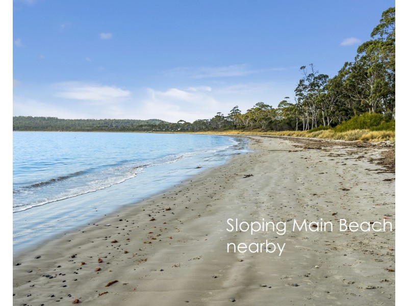 18 Sloping Main Drive, Sloping Main TAS 7186