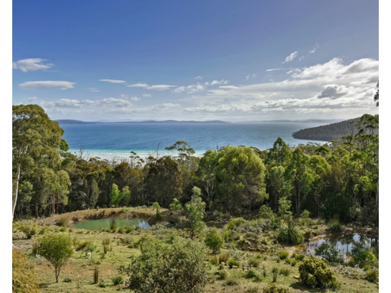 111 Nubeena Road, Taranna TAS 7180