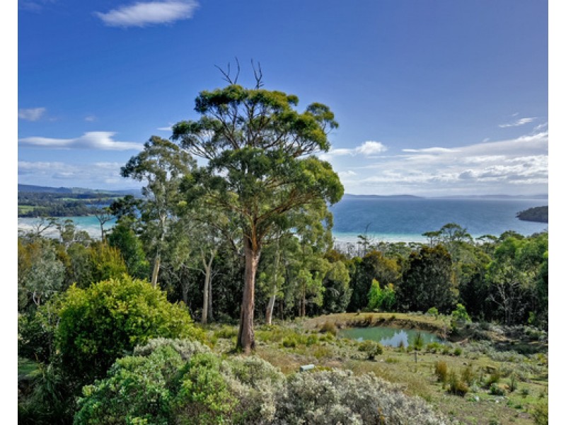 111 Nubeena Road, Taranna TAS 7180