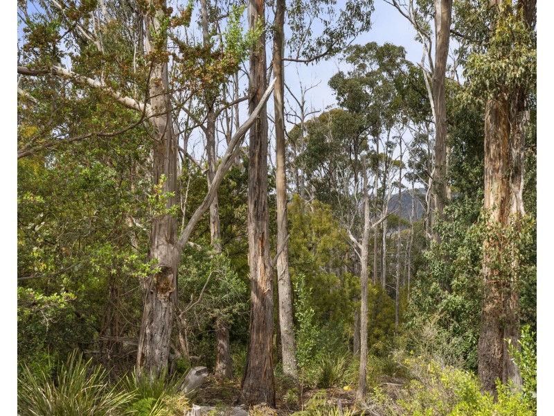 60 Marys Road, Nubeena TAS 7184