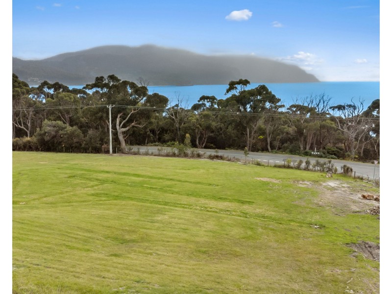4 Waterfall Bay Road, Eaglehawk Neck TAS 7179