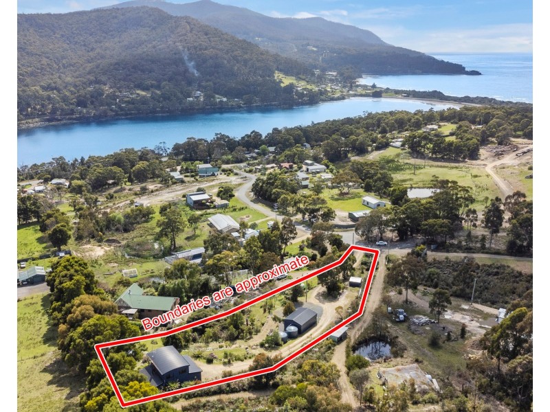 42 Ferntree Road, Eaglehawk Neck TAS 7179