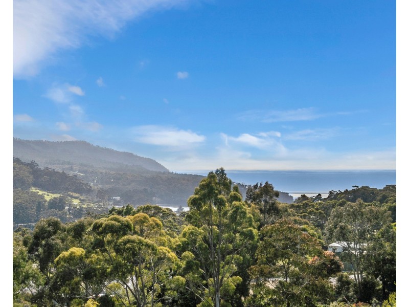 42 Ferntree Road, Eaglehawk Neck TAS 7179