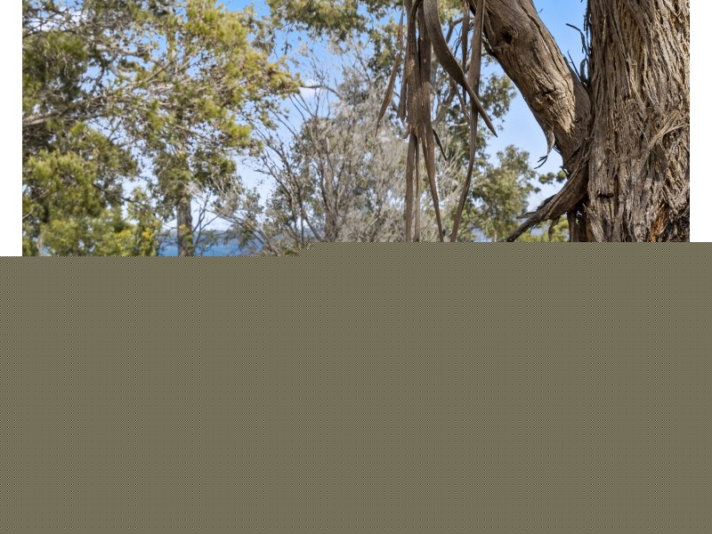50 Reef View Road, Murdunna TAS 7178
