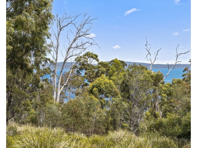 50 Reef View Road, Murdunna TAS 7178