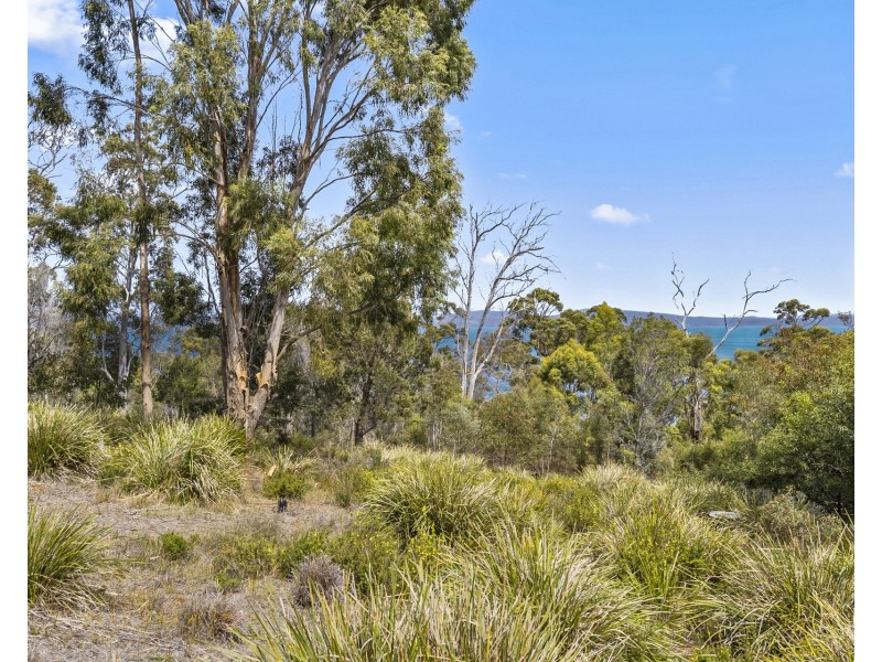 50 Reef View Road, Murdunna TAS 7178