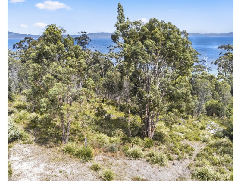 50 Reef View Road, Murdunna TAS 7178