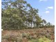 15 Smiths Road, Highcroft TAS 7183