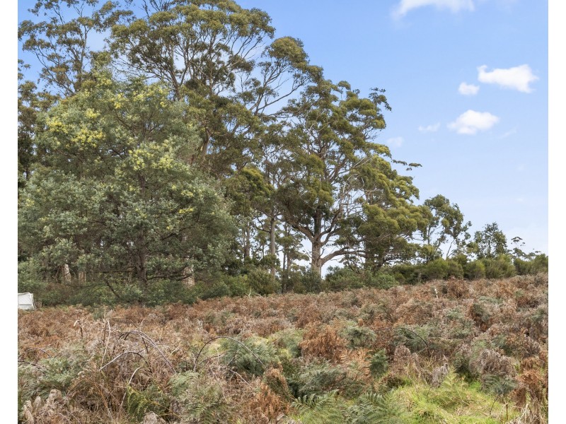 15 Smiths Road, Highcroft TAS 7183