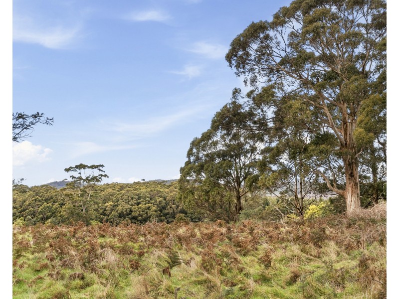 15 Smiths Road, Highcroft TAS 7183