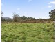 15 Smiths Road, Highcroft TAS 7183