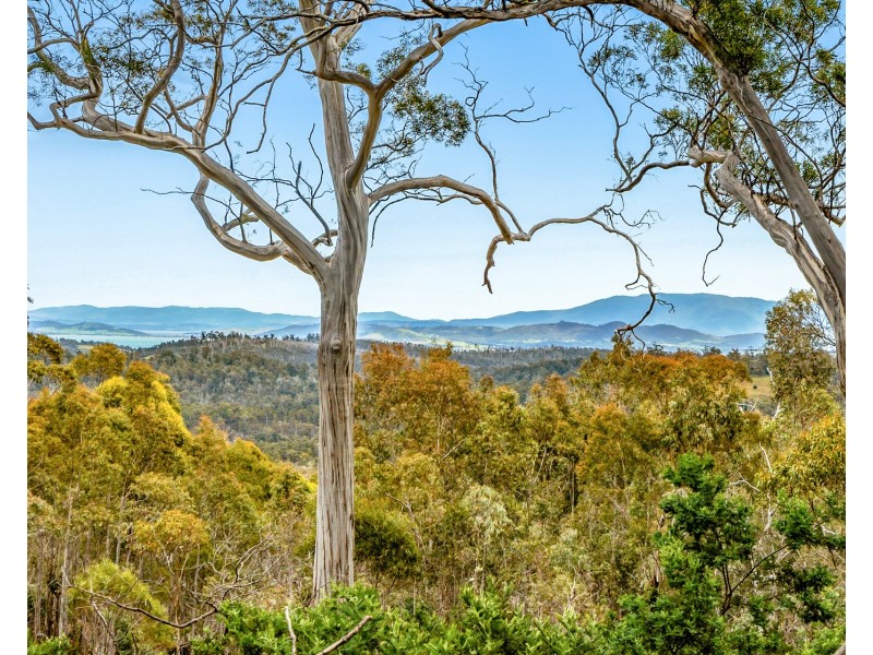Lot 4 White Hill Road, Forcett TAS 7173