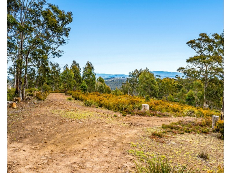 Lot 4 White Hill Road, Forcett TAS 7173