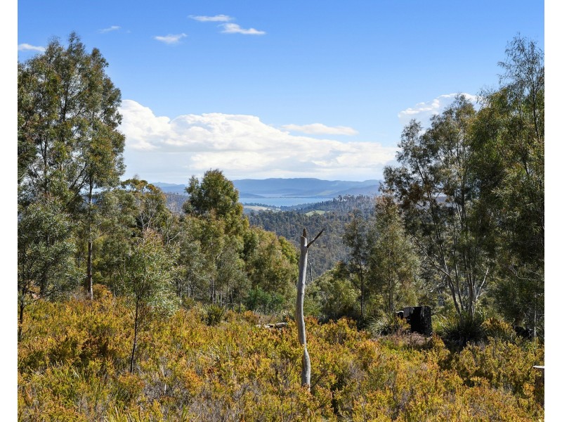 Lot 4 White Hill Road, Forcett TAS 7173