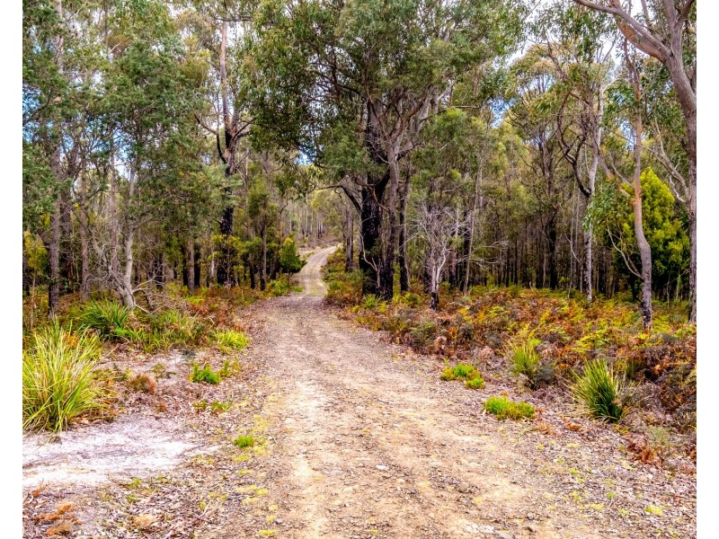 Lot 4 White Hill Road, Forcett TAS 7173