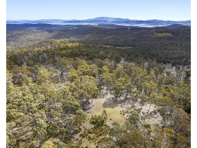 Lot 4 White Hill Road, Forcett TAS 7173