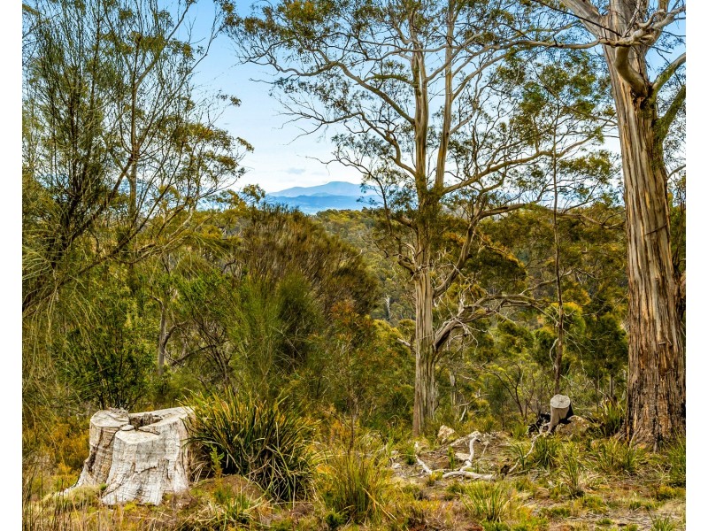 Lot 4 White Hill Road, Forcett TAS 7173