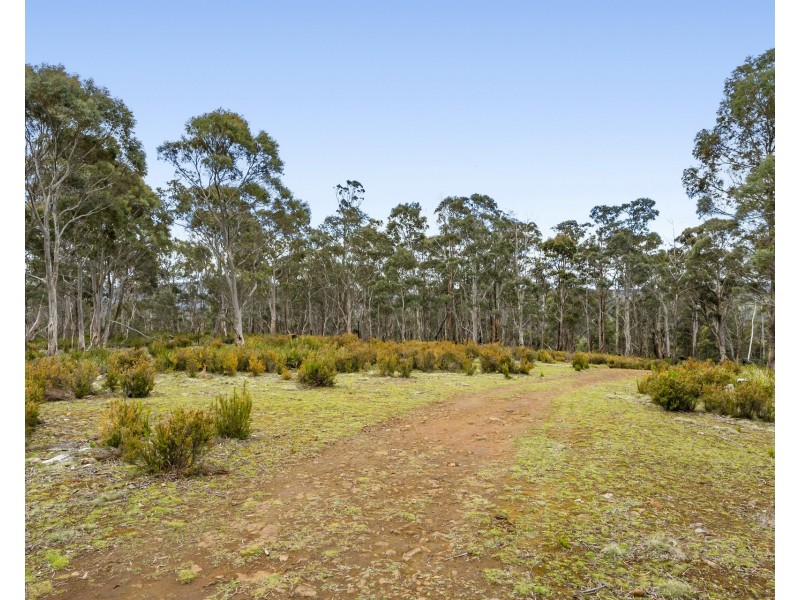 Lot 4 White Hill Road, Forcett TAS 7173