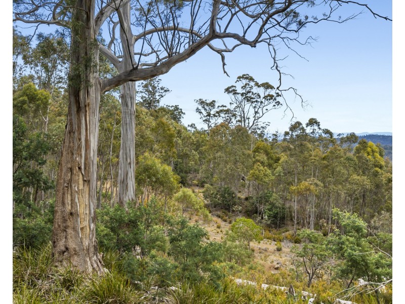 Lot 4 White Hill Road, Forcett TAS 7173