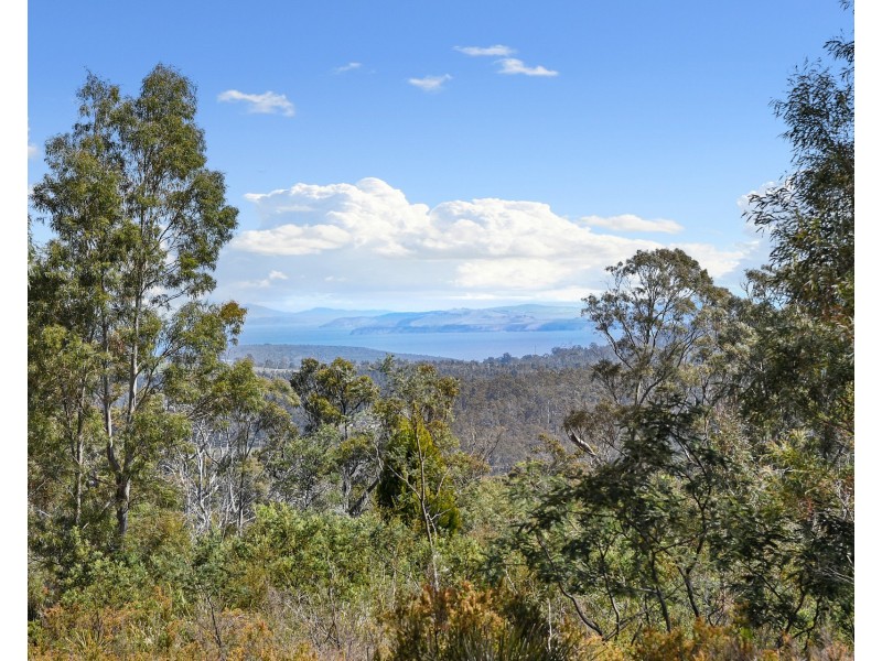 Lot 4 White Hill Road, Forcett TAS 7173