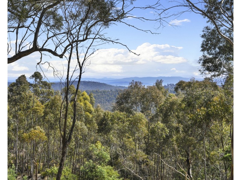 Lot 4 White Hill Road, Forcett TAS 7173