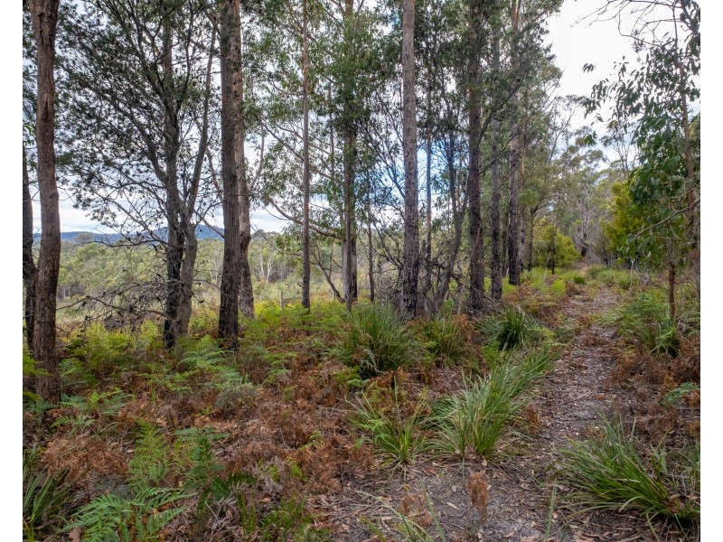 Lot 4 White Hill Road, Forcett TAS 7173
