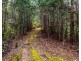 Lot 1 White Hill Road, Forcett TAS 7173