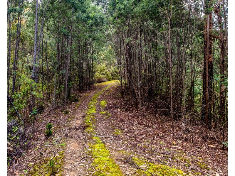 Lot 1 White Hill Road, Forcett TAS 7173