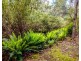 Lot 1 White Hill Road, Forcett TAS 7173