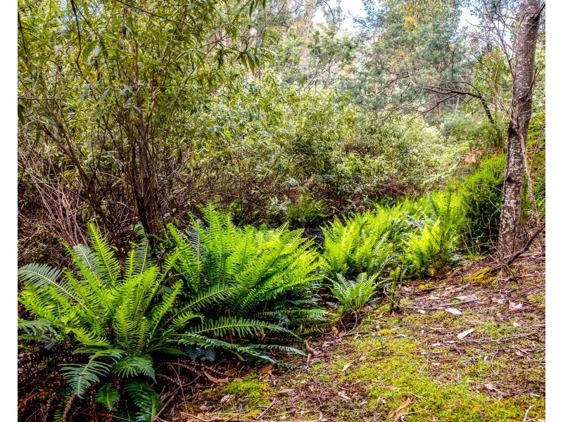 Lot 1 White Hill Road, Forcett TAS 7173