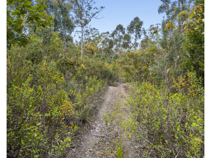 Lot 1 White Hill Road, Forcett TAS 7173