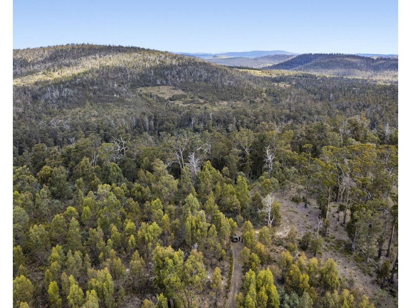 Lot 1 White Hill Road, Forcett TAS 7173