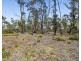 Lot 1 White Hill Road, Forcett TAS 7173