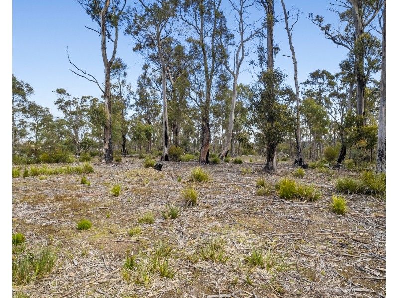 Lot 1 White Hill Road, Forcett TAS 7173
