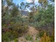 Lot 1 White Hill Road, Forcett TAS 7173