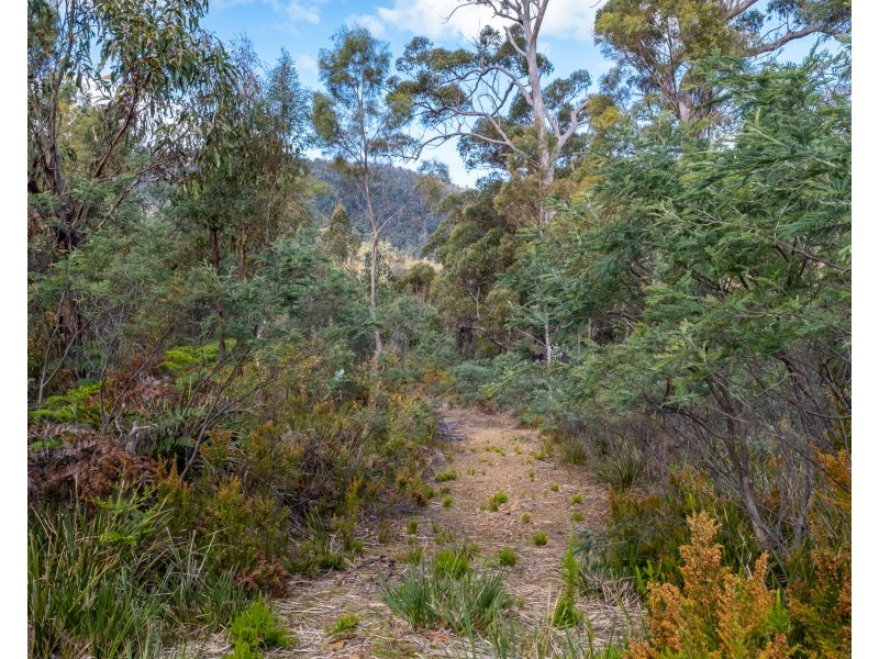 Lot 1 White Hill Road, Forcett TAS 7173