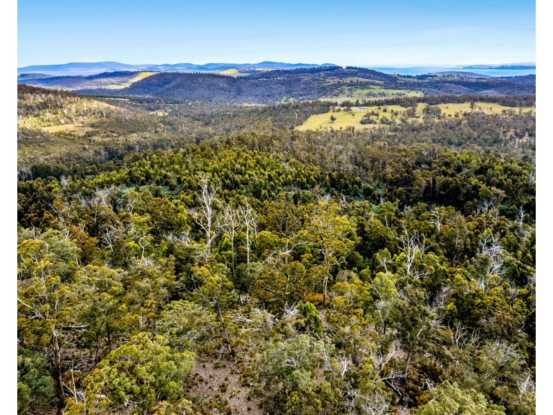 “Lindsays” White Hill Road, Forcett TAS 7173