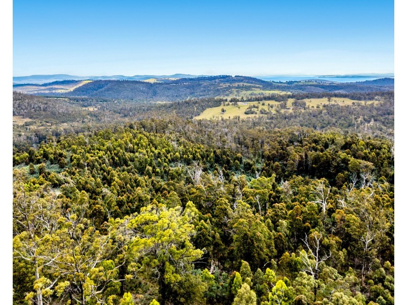 “Lindsays” White Hill Road, Forcett TAS 7173