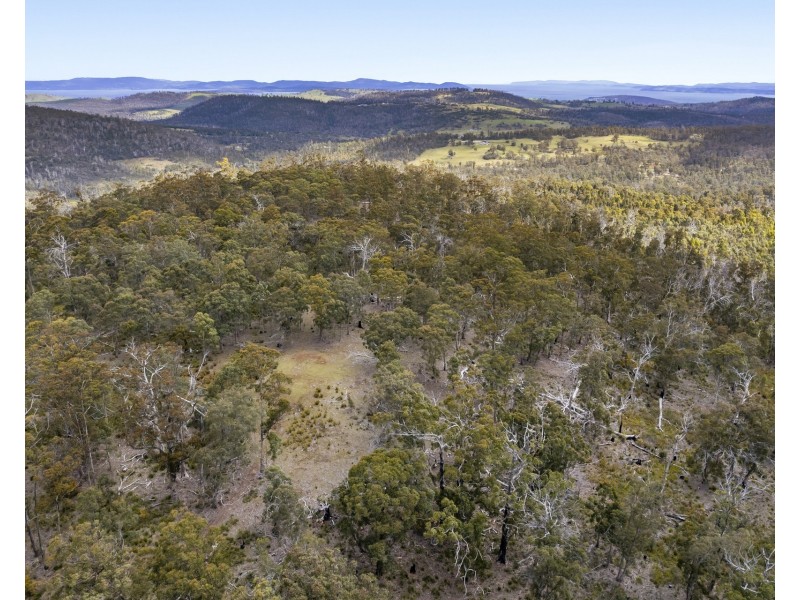 “Lindsays” White Hill Road, Forcett TAS 7173