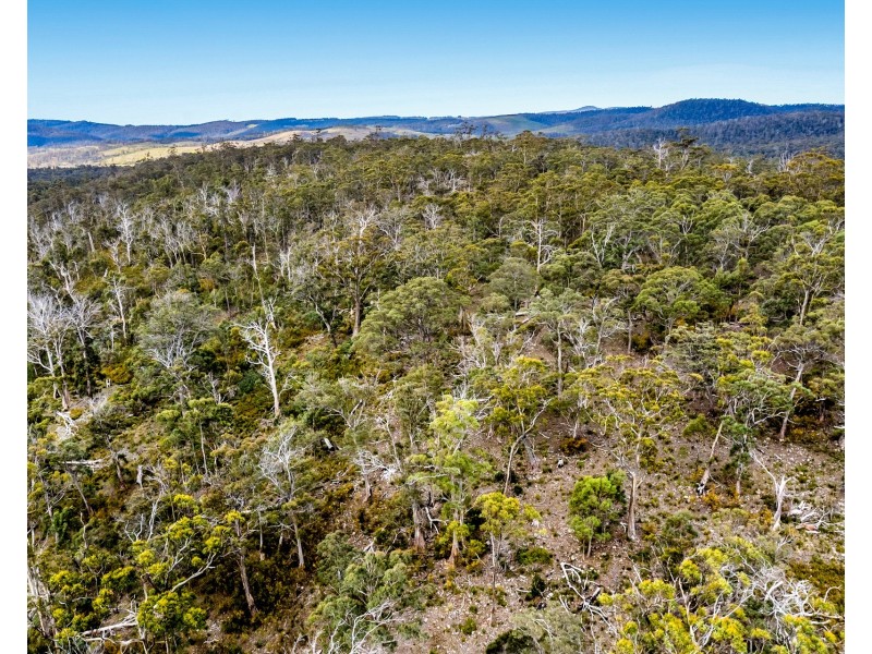 “Lindsays” White Hill Road, Forcett TAS 7173