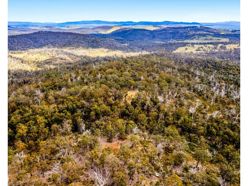 “Lindsays” White Hill Road, Forcett TAS 7173
