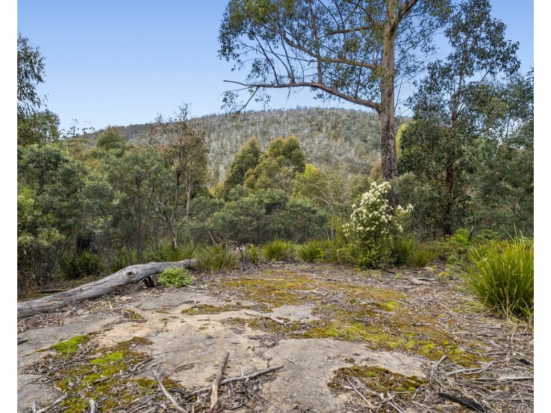 Lot 5 White Hill Road, Forcett TAS 7173