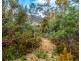 Lot 5 White Hill Road, Forcett TAS 7173