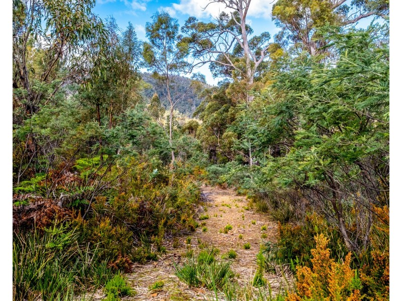 Lot 5 White Hill Road, Forcett TAS 7173