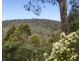 Lot 5 White Hill Road, Forcett TAS 7173