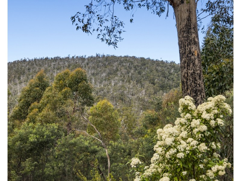 Lot 5 White Hill Road, Forcett TAS 7173