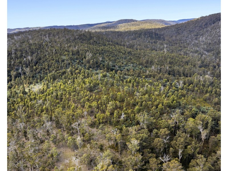 Lot 5 White Hill Road, Forcett TAS 7173