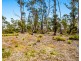 Lot 5 White Hill Road, Forcett TAS 7173
